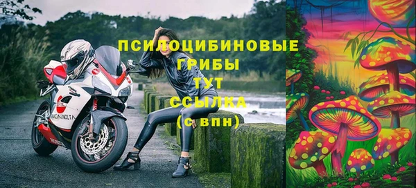 МДПВ Бородино