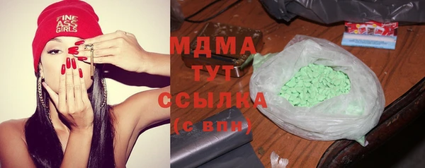 МДПВ Бородино