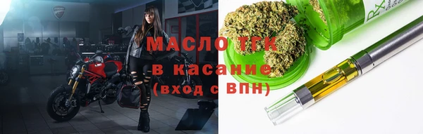 МДПВ Бородино