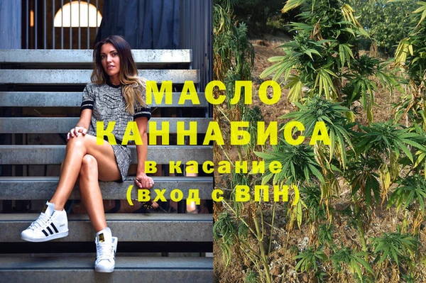 МДПВ Бородино