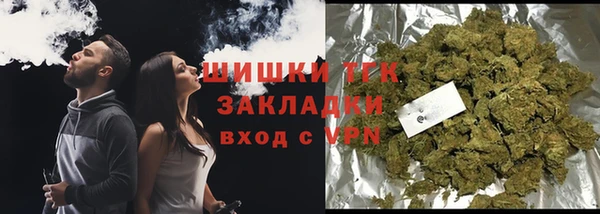 ГАЛЛЮЦИНОГЕННЫЕ ГРИБЫ Бикин