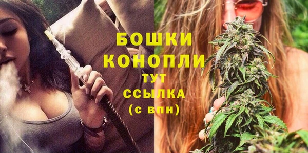 соль ск Верхний Тагил