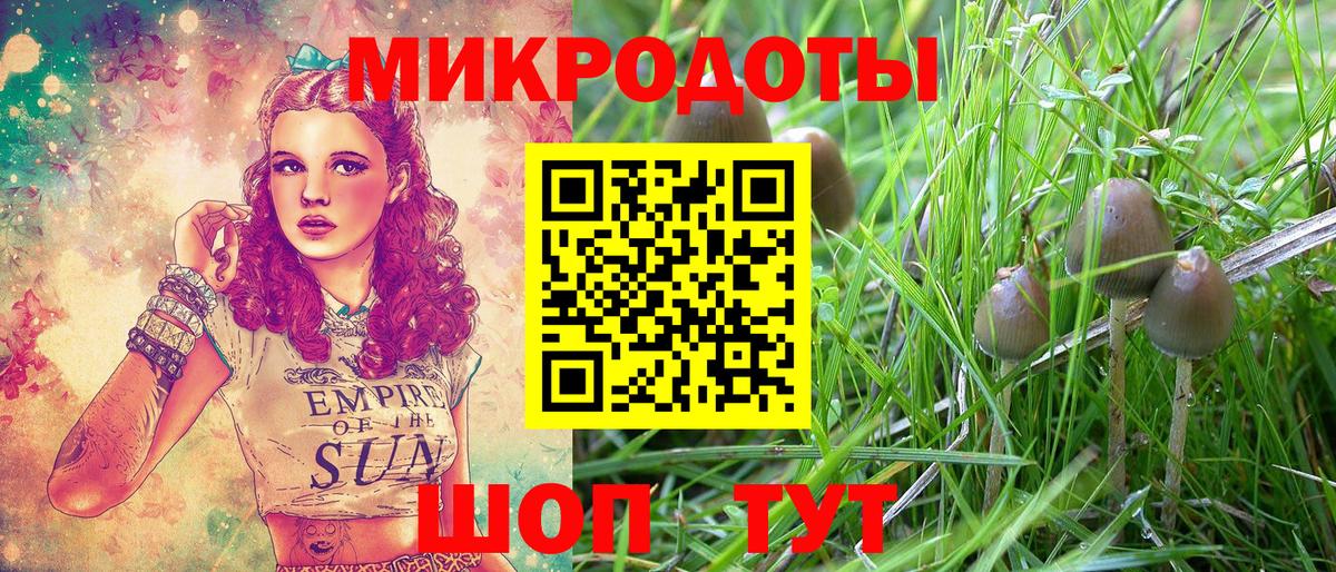 Галлюциногенные грибы мухоморы Маркс